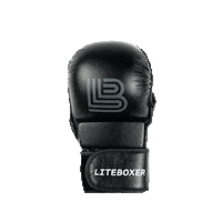 Liteboxer sports fitness boxing box Sticker