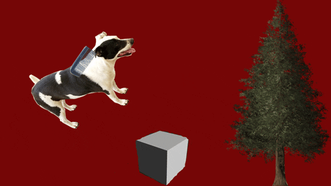 JuanBaca-8888 giphyupload GIF