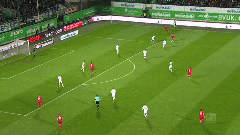1 fc cologne football GIF by 1. FC Köln
