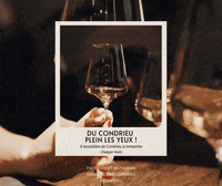 VienneCondrieuTourisme  GIF