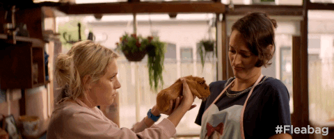 amazon originals GIF by Fleabag