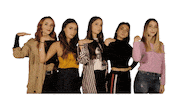 dance friends Sticker by Ventino
