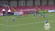 Goal GIF by Cliftonville Football Club