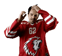 Lhc Lausannehc Sticker by Lausanne Hockey Club