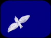 Snow Winter GIF by Barbara Pozzi