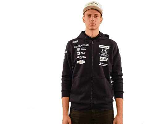 Alpine Skier Sticker by SloSki