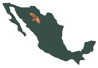 losmagossotol mexico chihuahua hechoenmexico madeinmexico Sticker