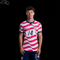 Fifa World Cup Usa GIF by Respective