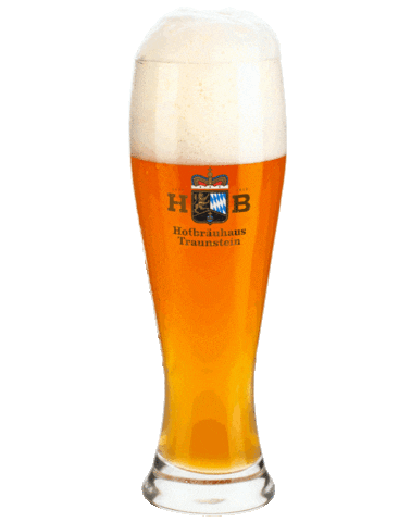 Beer Cheers Sticker by Hofbräuhaus Traunstein