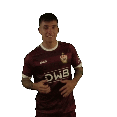 Ben Meyer Goal Sticker by BFC Dynamo
