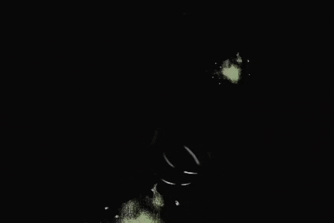 GIF by Arrayán Casa de Té