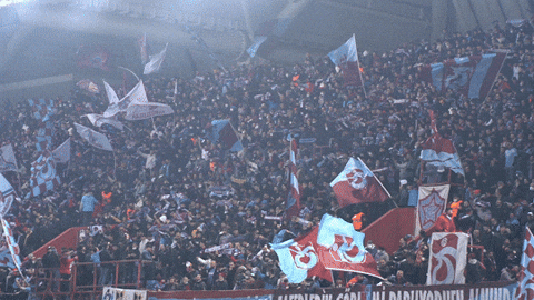 TrabzonsporClub giphyupload trabzonspor taraftar l1der GIF