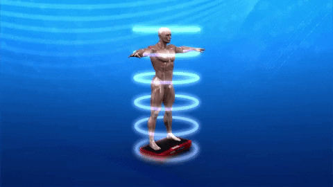 jahnvito giphyupload GIF