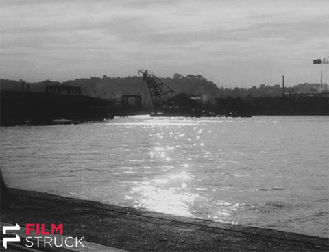criterion collection noir GIF by FilmStruck