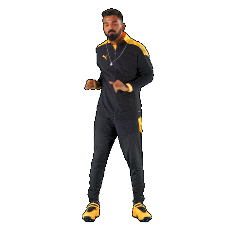 Sport Cricket Sticker by Puma India