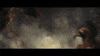 Godzilla Kong GIF by The Game Awards