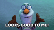 looking good northern lights GIF by LEGO