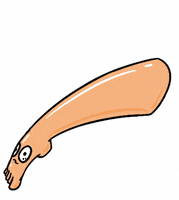 Feet Foot GIF