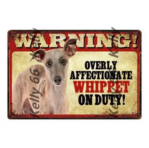 iLoveMyPet giphygifmaker whippet gifts whippet on duty tin poster warning overly affectionate whippet on duty tin poster GIF