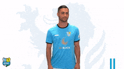 Football Sport GIF by ChemnitzerFC