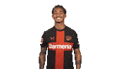 Loving I Love You Sticker by Bundesliga