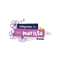 Alegrate Sticker by Santa Maria Maristas