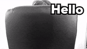 stickupmusic hello stickupboys stickupmusic GIF