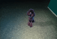 Dog Show GIF by Jazmin Bean