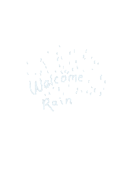 Water Rain Sticker