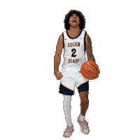 Basketball Cole Sticker by WVU Tech Golden Bears