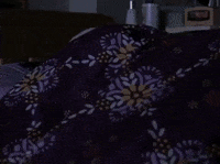 season 4 netflix GIF by Gilmore Girls 