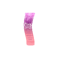 Bronzer Tanninglotion Sticker by Zoom Tan