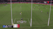 afl dockers GIF