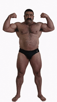 Bear Muscle GIF by Database數據