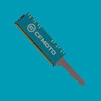 Cfmoto GIF by BWImport