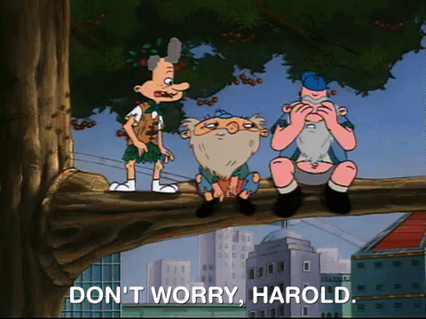 hey arnold nicksplat GIF