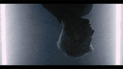 whoislimbs poison limbs GIF
