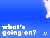 Save Them All Best Friends GIF by Best Friends Animal Society