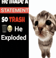 Cat GIF