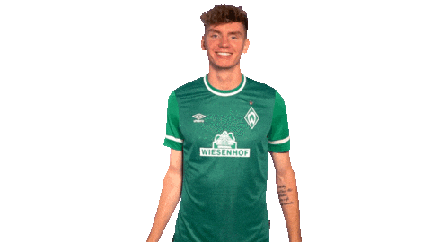 Wave Nick Sticker by SV Werder Bremen