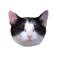 Happy Cat Sticker