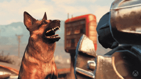 Fallout 4 GIF by Xbox