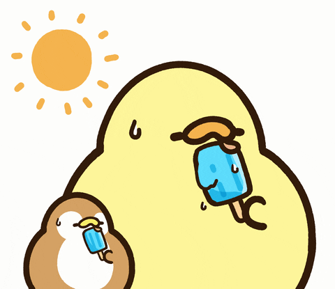 Happy Hot Summer GIF by foodieg