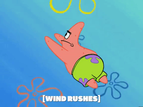 season 6 GIF by SpongeBob SquarePants