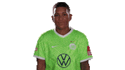 Come In Van De Sanden Sticker by VfL Wolfsburg