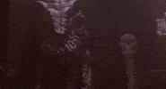 predator GIF by 20th Century Fox Home Entertainment