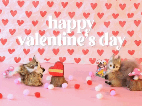 Valentines Day Fox GIF by Stephanie