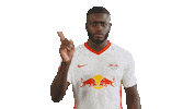 Not In My House No Sticker by RB Leipzig