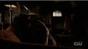 Sexual Relations Adult GIF
