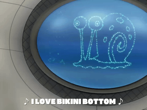 season 5 GIF by SpongeBob SquarePants